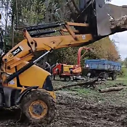 CZYSZCZENIE TERENÓW