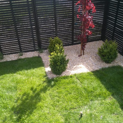 TRAWNIKI Z ROLKI LUB SIEWU